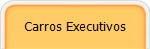 Carros Executivos
